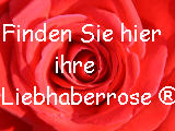 Liebhaber-Rosensortiment
